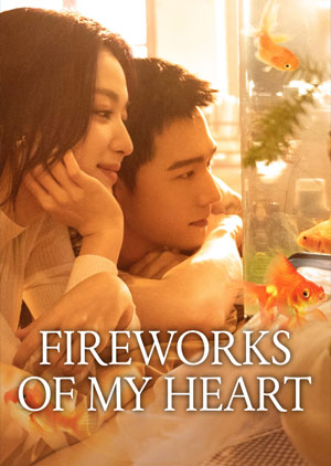 Fireworks of My Heart VJ PHEONIX